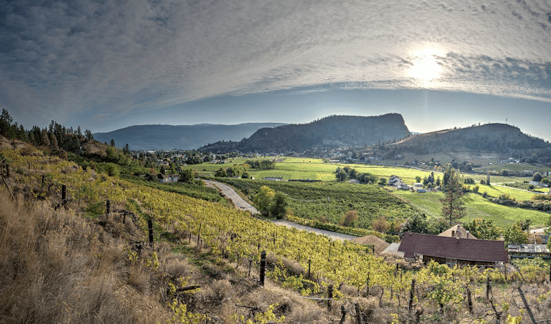 Lighting Rock Winery 